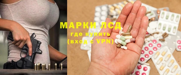 мяу мяу мука Дмитриев