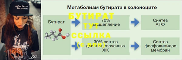 мяу мяу мука Дмитриев