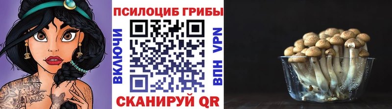 Псилоцибиновые грибы MAGIC MUSHROOMS  Купить где  Сочи 